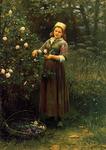 Daniel Ridgway Knight - As rosas de corte